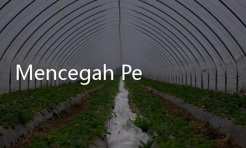 Mencegah Perselingkuhan dalam Pernikahan Menurut Pandangan Islam