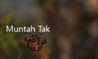 Muntah Tak Disengaja, Puasa Batal atau Tidak?