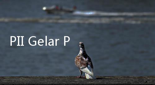 PII Gelar Perayaan HUT ke