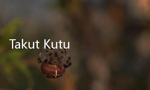 Takut Kutu Busuk dari Paris Masuk Korea, Bandara Dijaga Anjing Pelacak