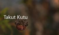 Takut Kutu Busuk dari Paris Masuk Korea, Bandara Dijaga Anjing Pelacak